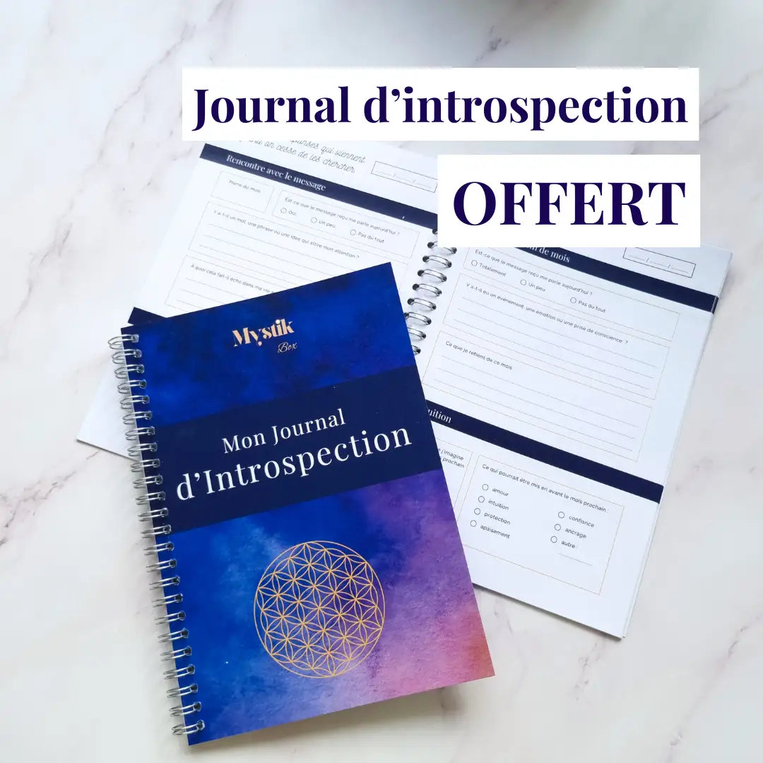 Un journal d'introspection offert lors de votre première commande