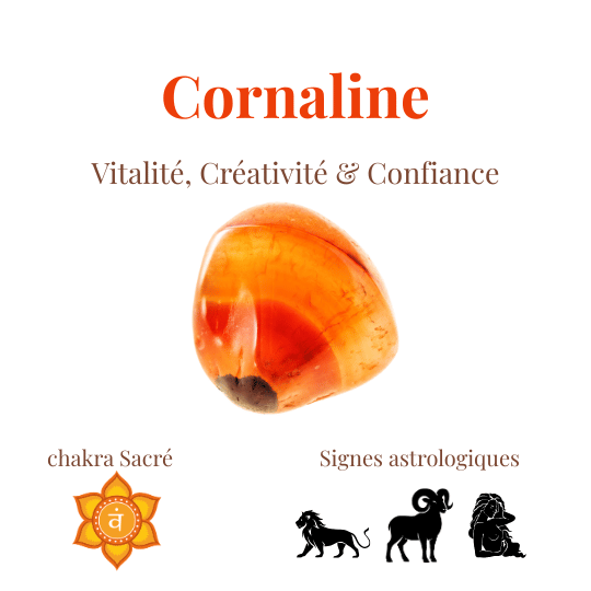 Pierre cornaline vertus et chakras