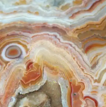 Crazy lace agate roche